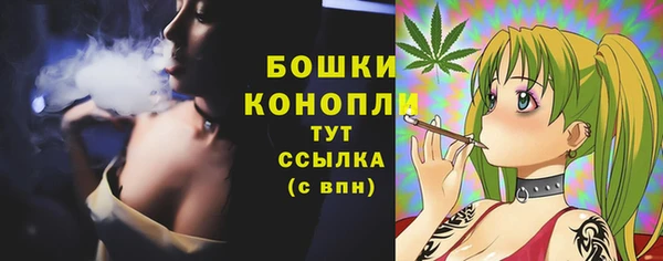 МДМА Бородино