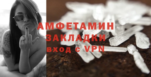 прущие грибы Бугульма