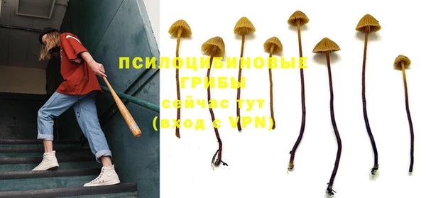 МДМА Бородино