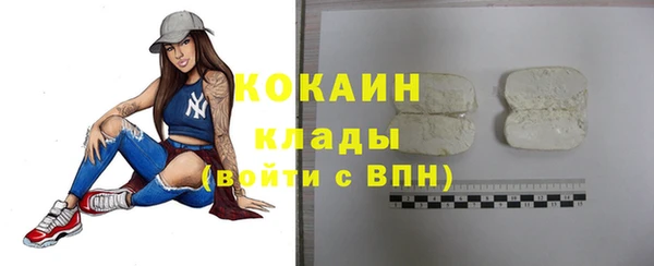 прущие грибы Бугульма