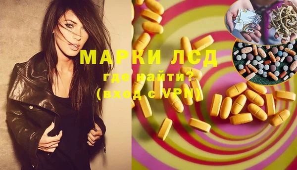 прущие грибы Бугульма