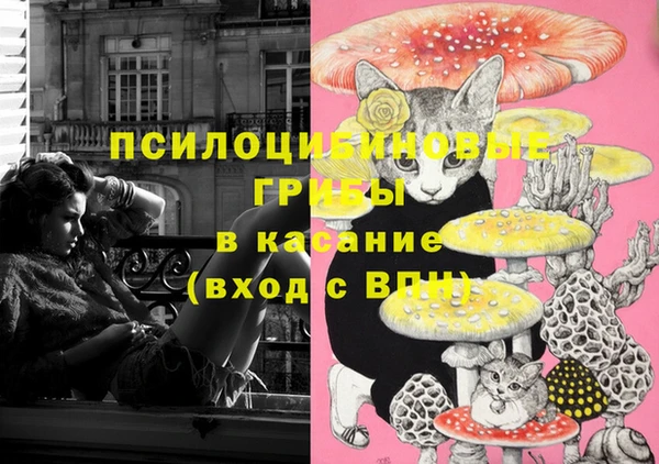дурь Бронницы
