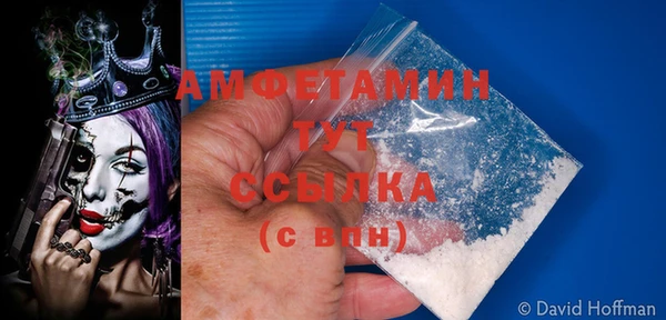 прущие грибы Бугульма