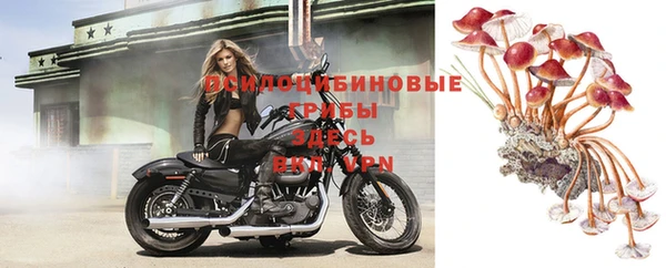 дурь Бронницы