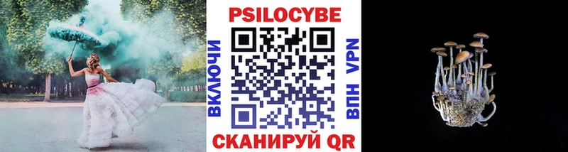Галлюциногенные грибы Cubensis  купить наркотики сайты  Вихоревка 